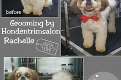 12376502_1718054568407375_1888662301935614524_n