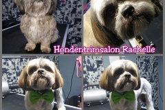 12647423_1730927997120032_3188103556454291038_n