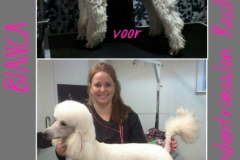 PhotoGrid_1423425040490