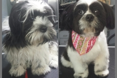 PhotoGrid_1438619773458