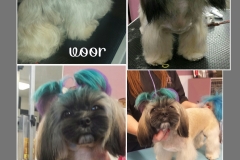 PhotoGrid_1448302975692