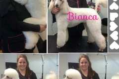 PhotoGrid_1448393310910