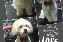 PhotoGrid_1449177909186