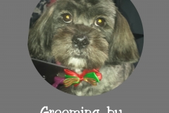 PhotoGrid_1449786503243