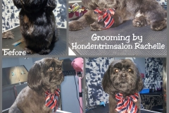 PhotoGrid_1450383748143