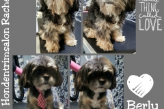 PhotoGrid_1455663329277