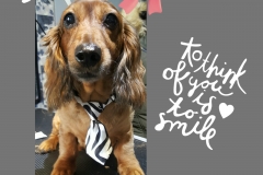 PhotoGrid_1455663607198