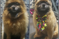 PhotoGrid_1455663802288