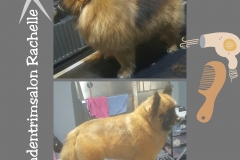 PhotoGrid_1455664124760