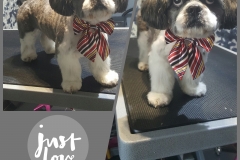 PhotoGrid_1456780232739