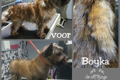 PhotoGrid_1456866137272