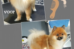 PhotoGrid_1456941644672